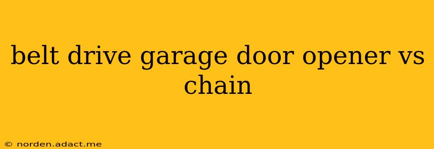 belt drive garage door opener vs chain