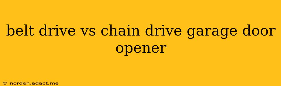 belt drive vs chain drive garage door opener