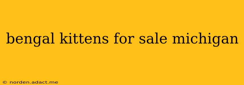 bengal kittens for sale michigan