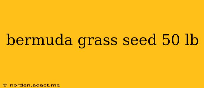 bermuda grass seed 50 lb