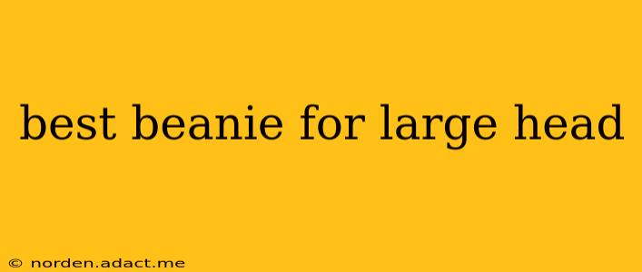 best beanie for large head