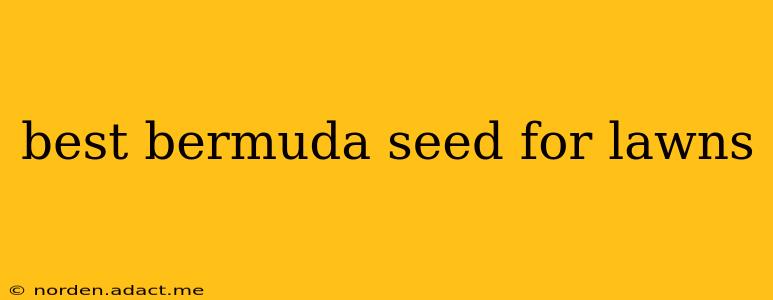 best bermuda seed for lawns