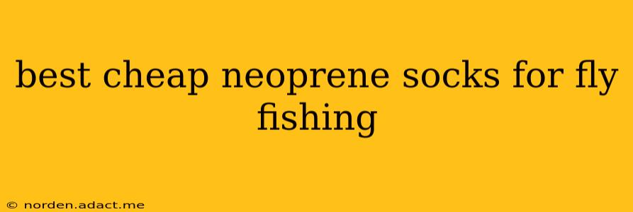best cheap neoprene socks for fly fishing