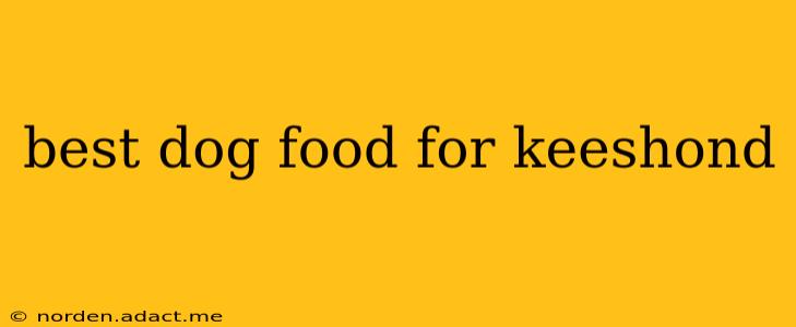 best dog food for keeshond
