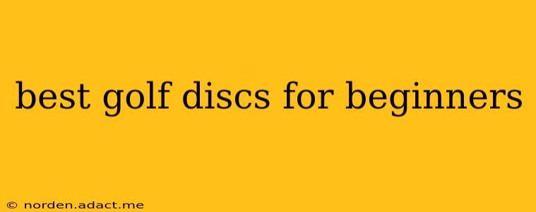 best golf discs for beginners