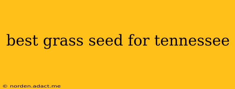 best grass seed for tennessee