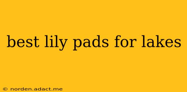 best lily pads for lakes
