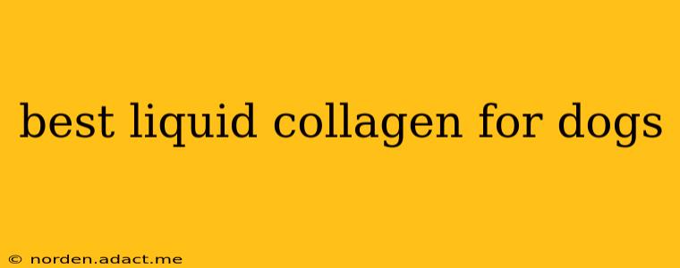best liquid collagen for dogs