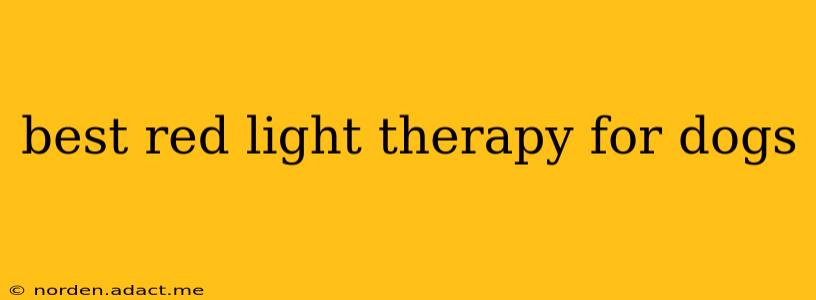 best red light therapy for dogs