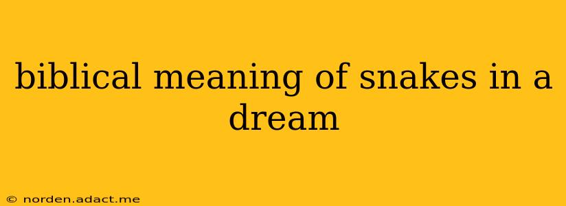 biblical meaning of snakes in a dream