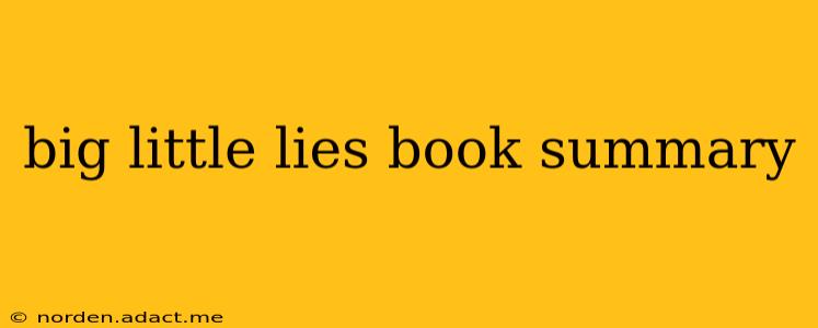 big little lies book summary