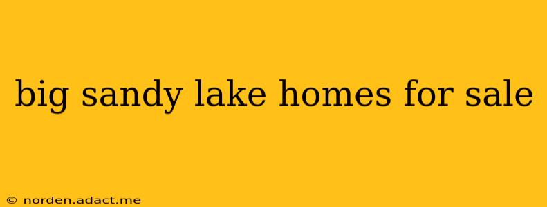 big sandy lake homes for sale
