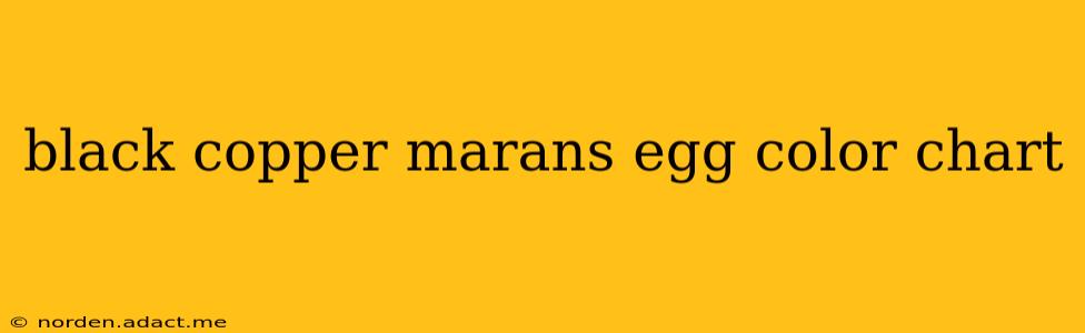 black copper marans egg color chart