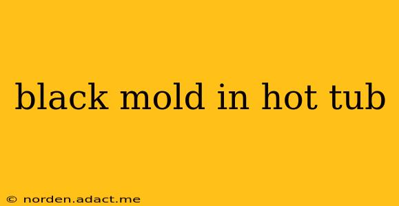 black mold in hot tub