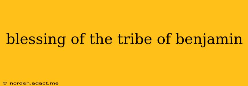 blessing of the tribe of benjamin