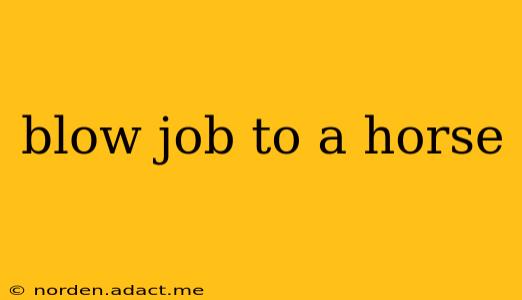 blow job to a horse