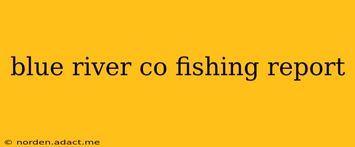 blue river co fishing report