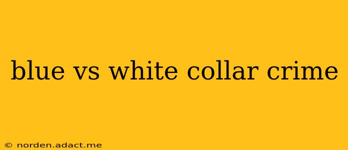 blue vs white collar crime