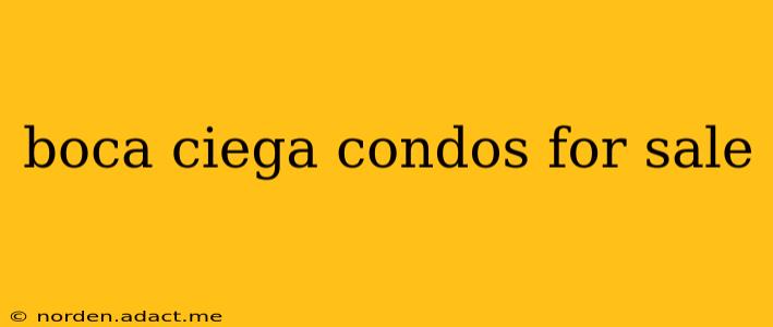 boca ciega condos for sale
