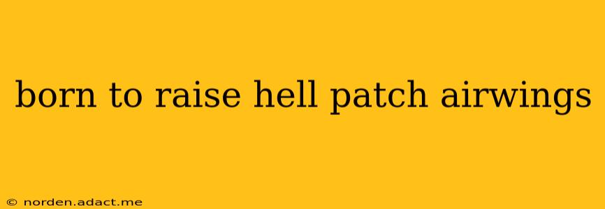 born to raise hell patch airwings