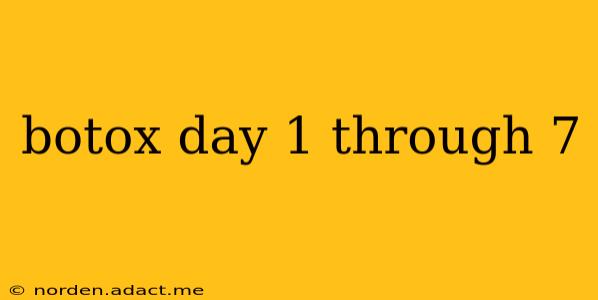 botox day 1 through 7
