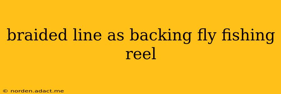 braided line as backing fly fishing reel