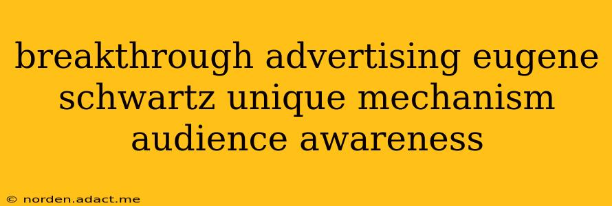 breakthrough advertising eugene schwartz unique mechanism audience awareness
