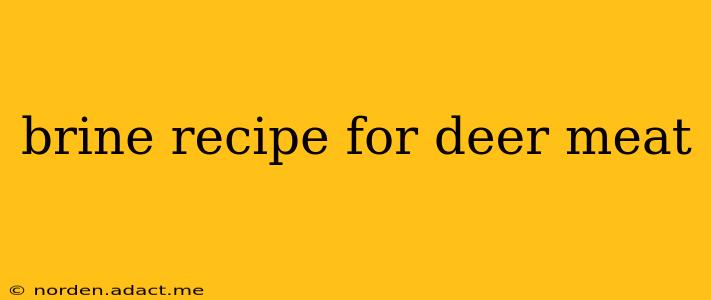 brine recipe for deer meat