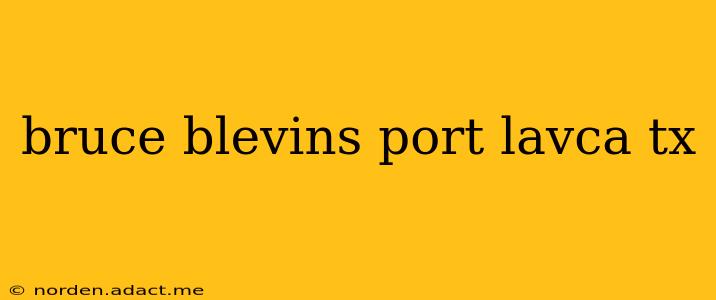 bruce blevins port lavca tx