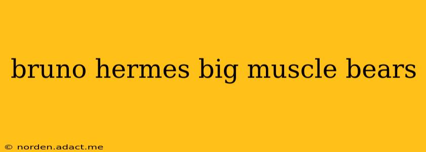 bruno hermes big muscle bears bruno hermes big muscle bears