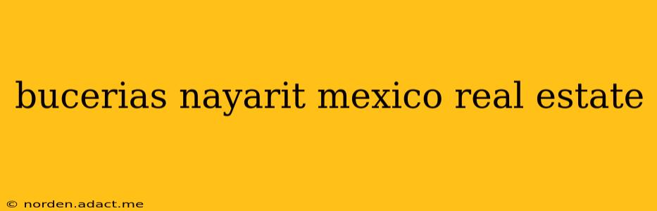 bucerias nayarit mexico real estate