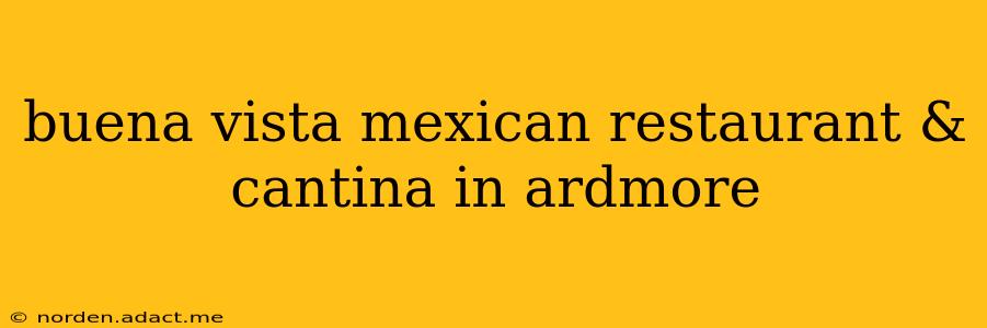 buena vista mexican restaurant & cantina in ardmore