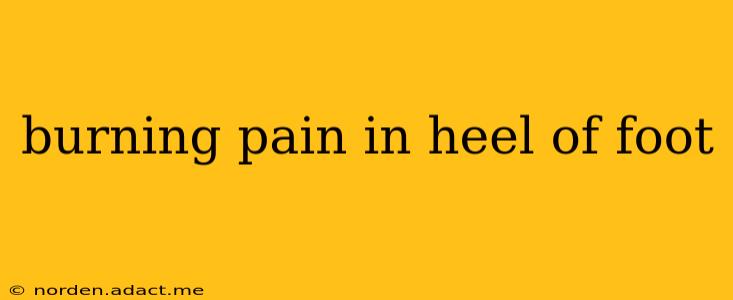 burning pain in heel of foot