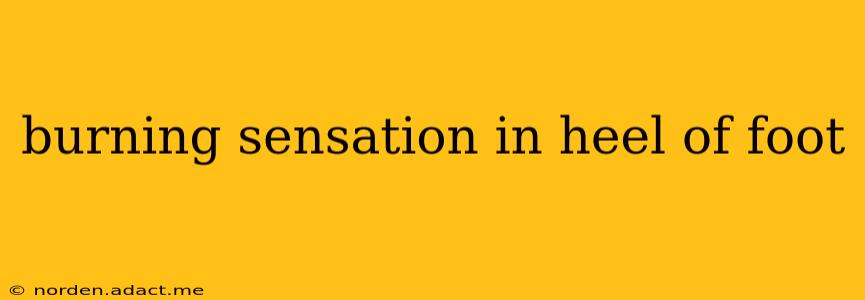 burning sensation in heel of foot