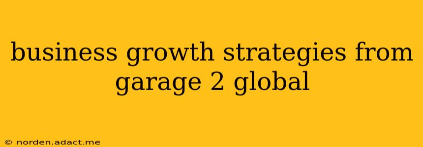 business growth strategies from garage 2 global