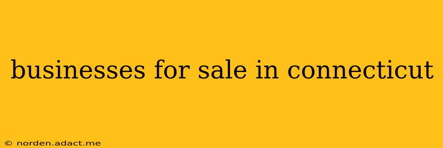 businesses for sale in connecticut