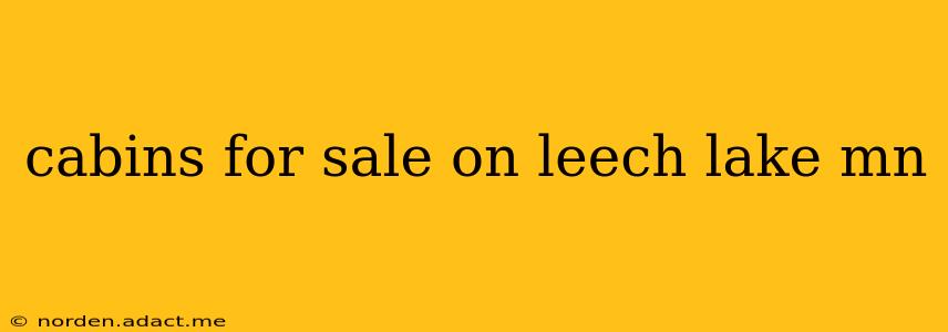 cabins for sale on leech lake mn