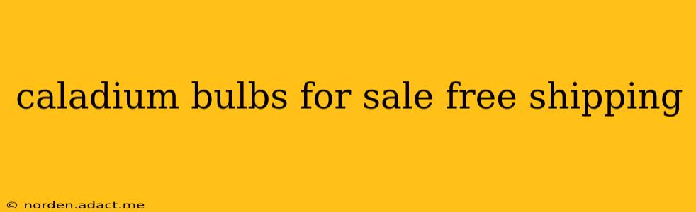 caladium bulbs for sale free shipping
