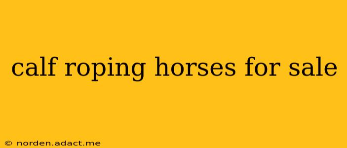 calf roping horses for sale