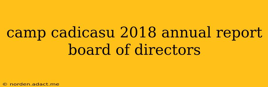 camp cadicasu 2018 annual report board of directors