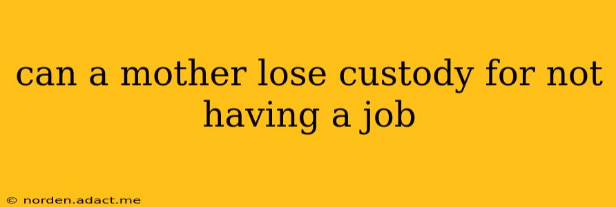 can a mother lose custody for not having a job