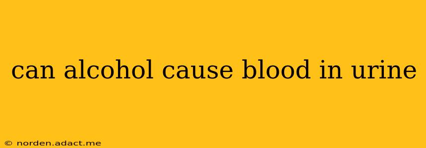 can alcohol cause blood in urine
