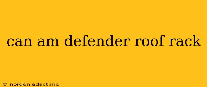 can am defender roof rack