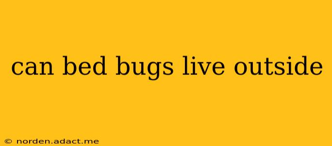 can bed bugs live outside