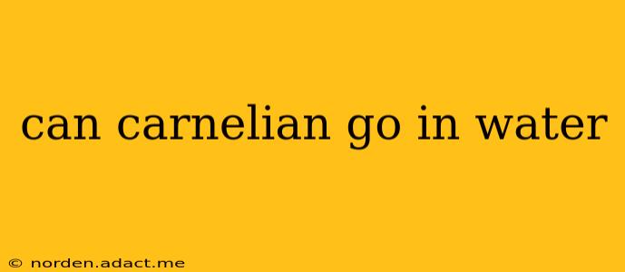 can carnelian go in water