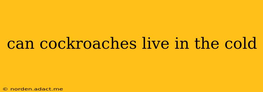 can cockroaches live in the cold