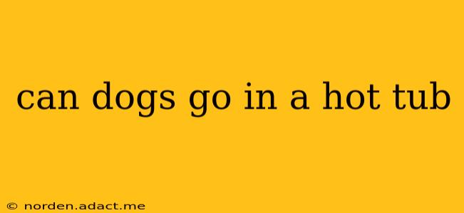 can dogs go in a hot tub