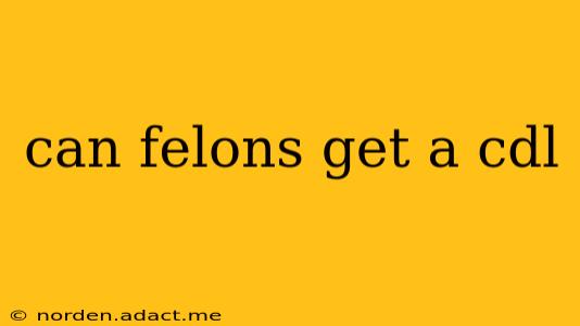 can felons get a cdl
