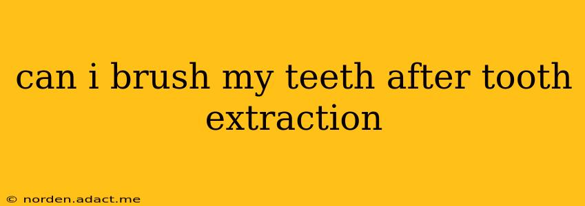 can i brush my teeth after tooth extraction