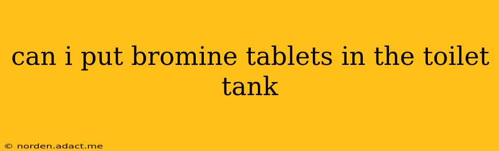 can i put bromine tablets in the toilet tank